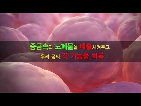 냉장고 속의 기적 [하이후레쉬]