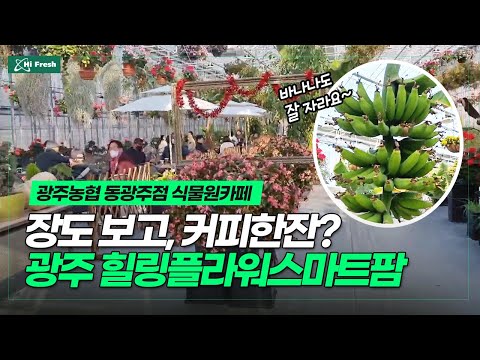 광주농협 동광주점 힐링플라워스마트팜