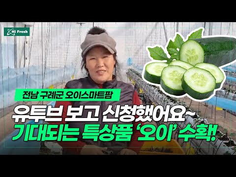 전남 구례 오이 스마트팜